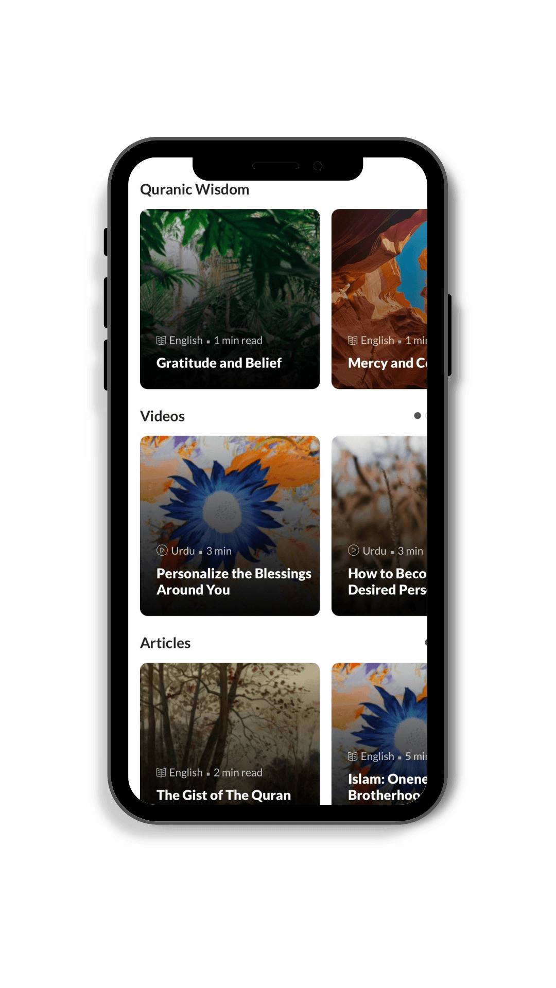 Apply Quran Delve Deep screen